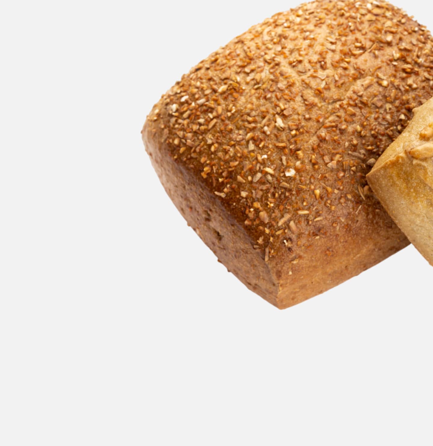 Harvest Bread - Image 2